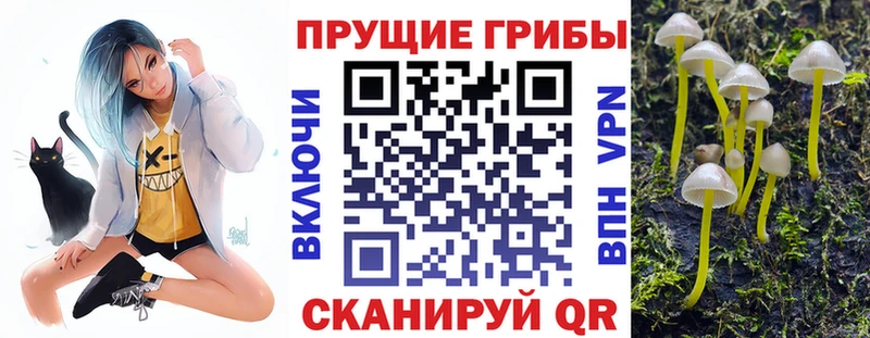 закладки  Тетюши  Галлюциногенные грибы GOLDEN TEACHER 